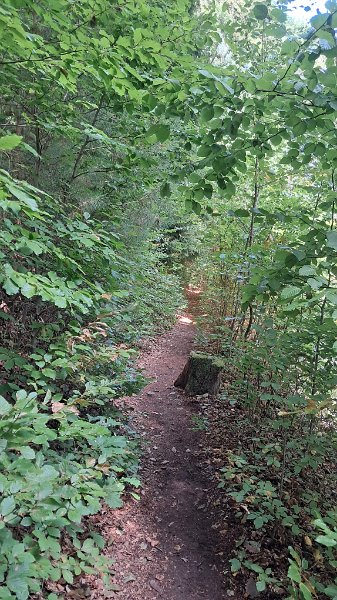20260822_143053.jpg - Die letzten Meter vorm Ziel!
