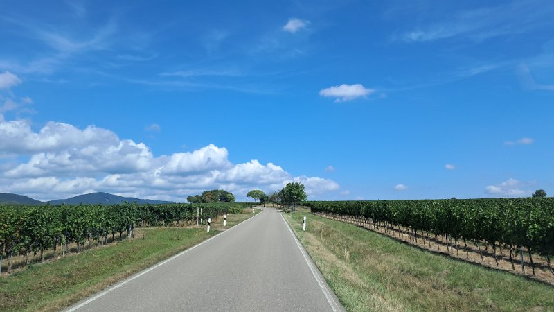 20260823_122549.jpg - Am nächsten Tag fahren wir allerdings auch schon wieder nach Hause...