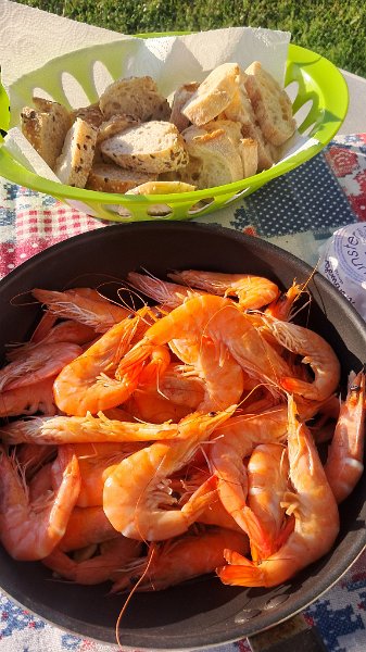 20260522_193432.jpg - ...gibts Abendessen! :-)