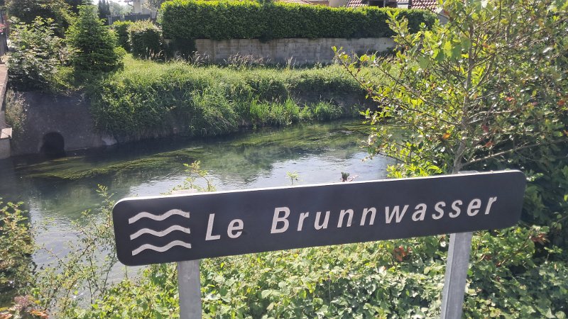 20260524_101450.jpg - ...über das "Brunnenwasser" ;-)