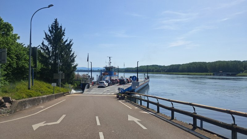 20260524_103113.jpg - ...und kommen dann zum Rhein. Es legt gerade eine Fähre rüber nach Kappel-Grafenhausen ab.