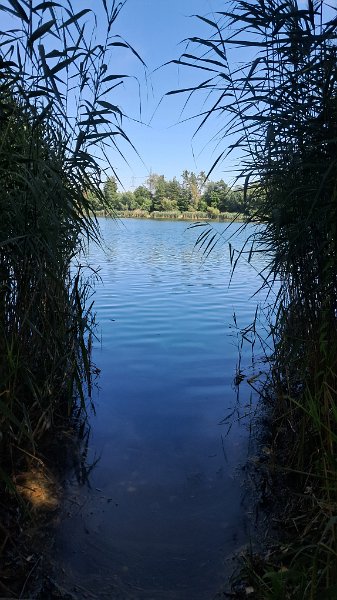 20260724_155013.jpg - Wir sind in erster Linie wegen dem See hier, der auf den ersten Blick absolut überzeugt.