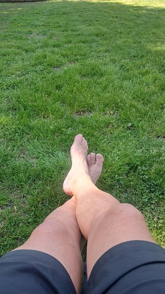 20260425_151501.jpg - ...und machen NIX!