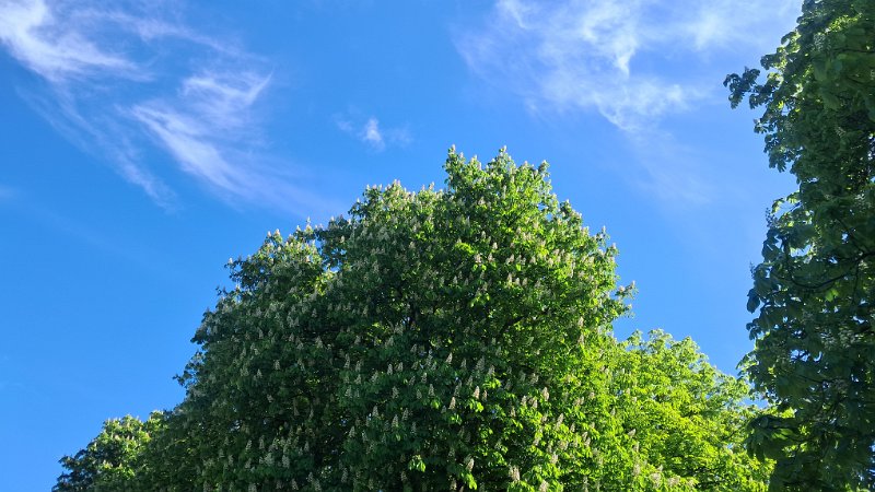 20260425_152058.jpg - Wir sitzen recht lange vorm Womo und genießen das schöne Wetter.Morgen gehts dann aber wieder nach Hause. 