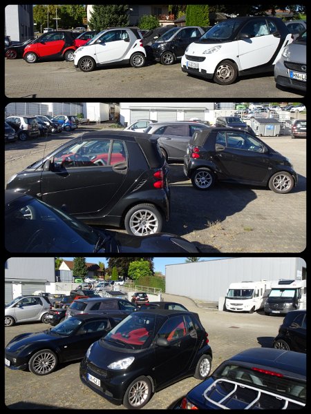 20260926_213404.jpg - Anschließend schauen wir uns die vielen Smartis auf dem Gelände an.Vielen Dank an das Team von Fismatec! 