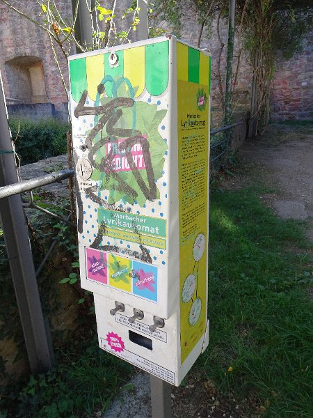 DSC08605.JPG - Was ist das?!?
